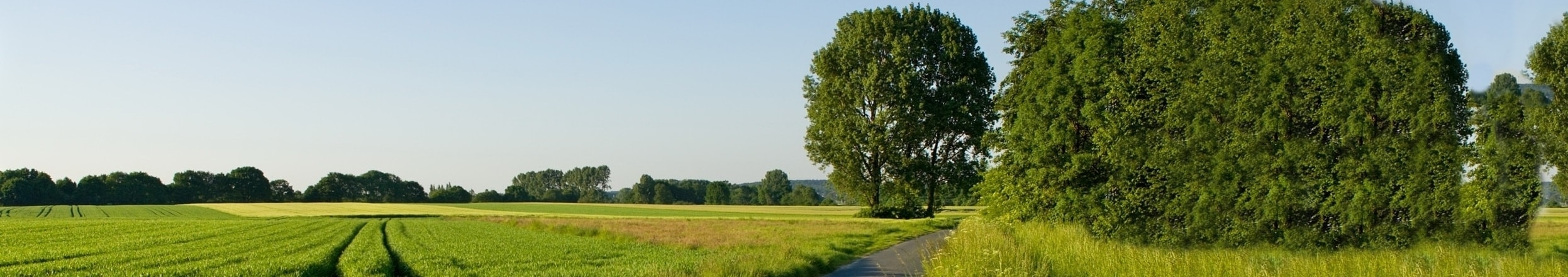 Growdiction-Banner-2493x440-Groeien-en-dan-verkopen